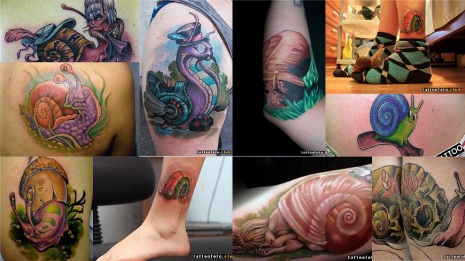 Photo de tatouage avec un escargot