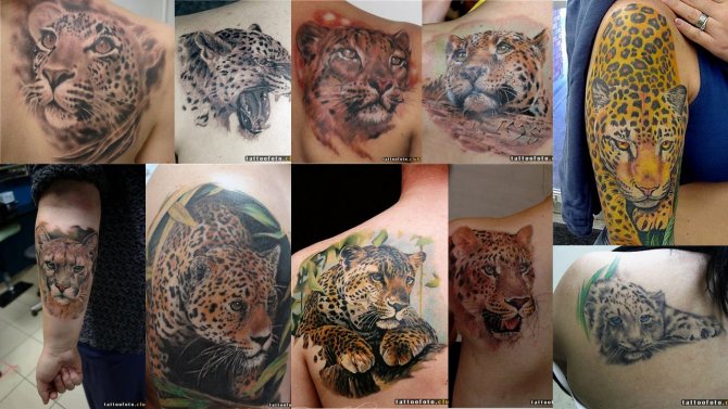 Jaguar Tattoo Pics