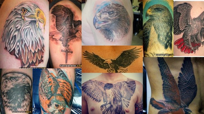 鷹の絵の刺青