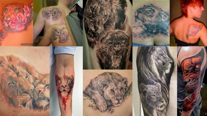 leijona tatuointi kuva