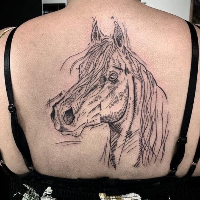 tatouage de tête de cheval