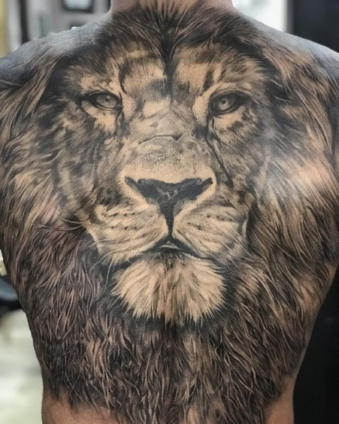 Tête de lion tatouée