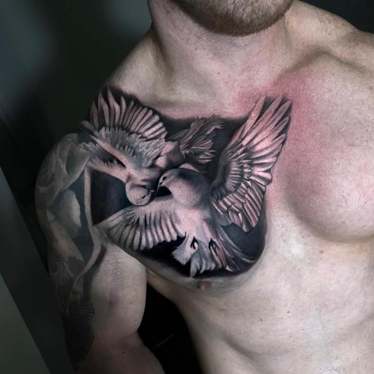 photo de pigeon tatoué
