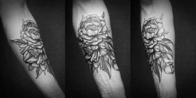 gráficos de tatuajes