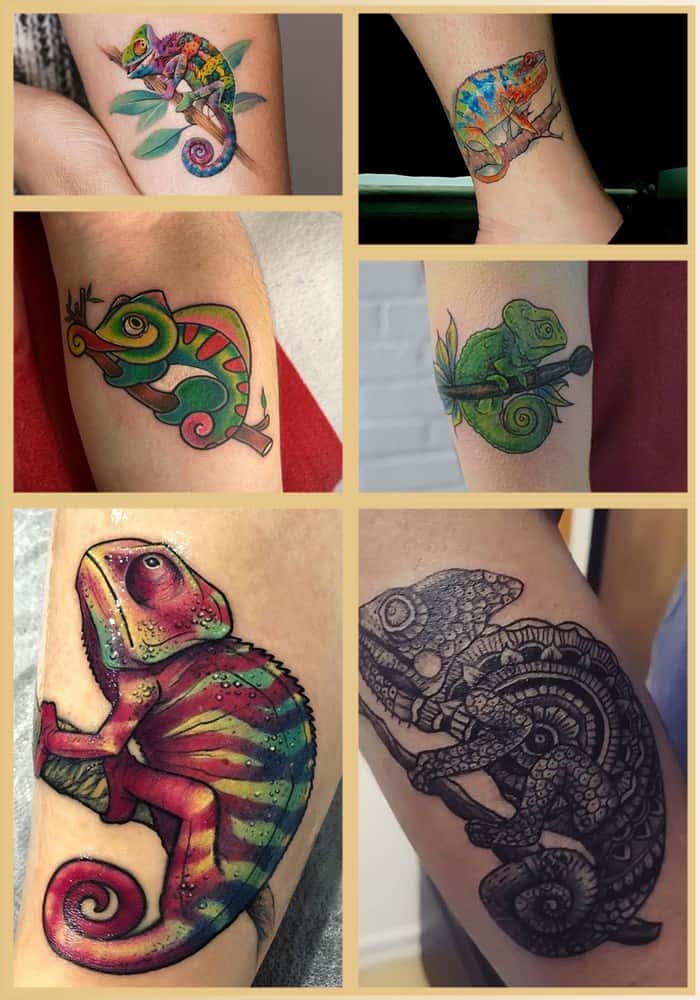 tatouage caméléon