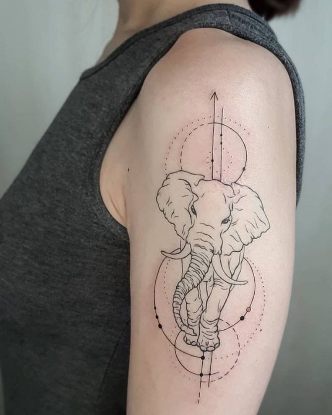 Significado del tatuaje del elefante indio