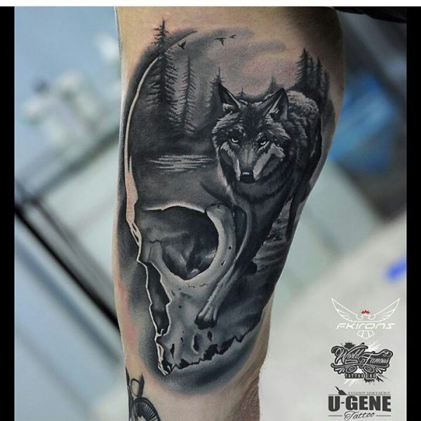 Immagine del tatuaggio del lupo nel cranio