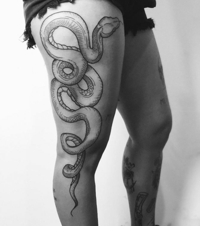 croquis de tatouage cobra
