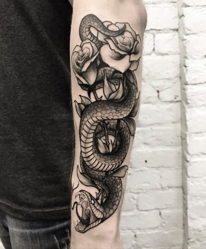 tatouage cobra sur l'épaule