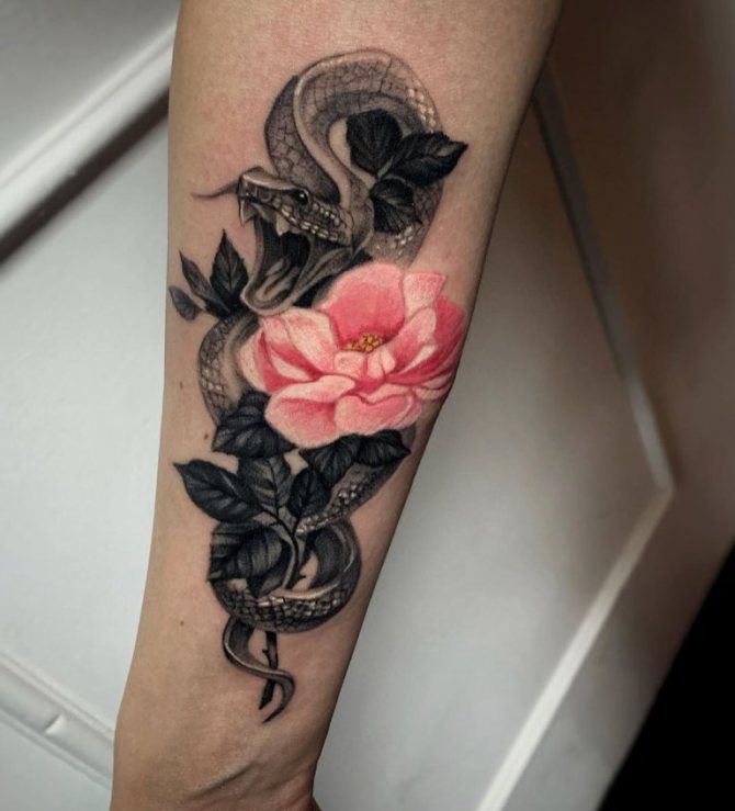 Motifs de tatouage de cobra sur la main