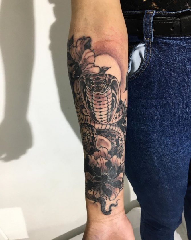 Cobra Tattoo Význam