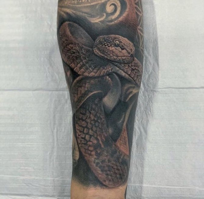 tatouage cobra