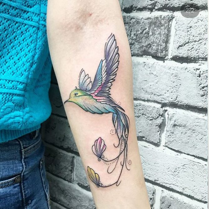 graphiques de colibris tatoués en couleur