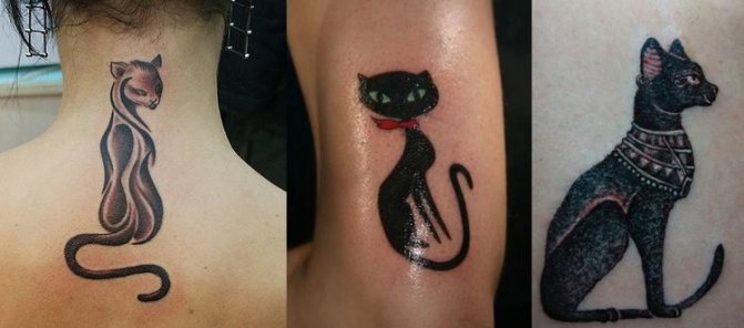 Dessin de tatouage de chat