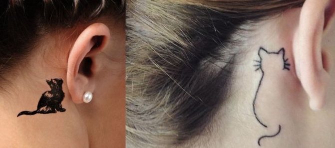 Dibujo de un gato tatuado