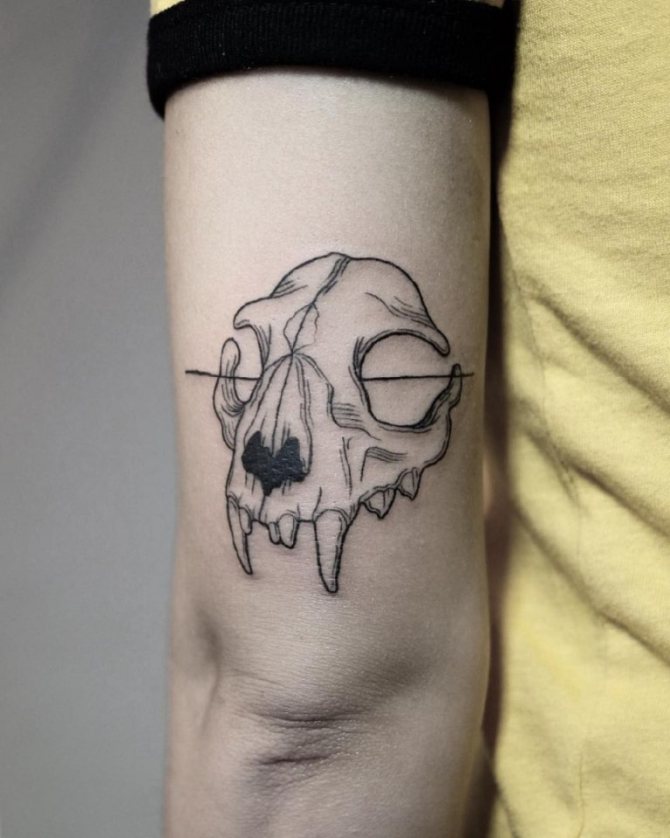 signification du tatouage de chat