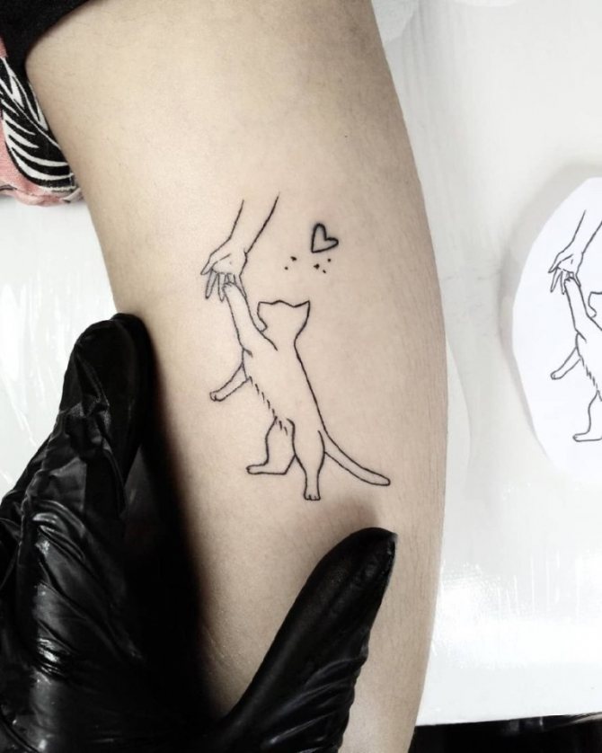 Signification du tatouage de chat pour les filles