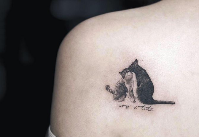 Tattoo Cat - Portrait de chat