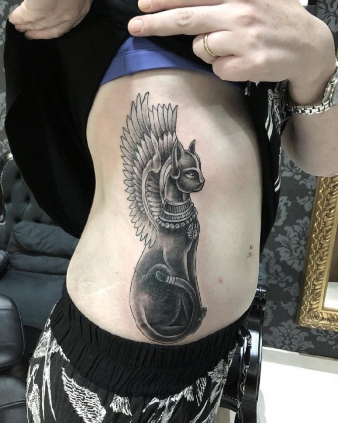 chat tatoué