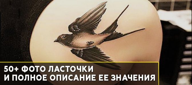 Significado del tatuaje Swallow