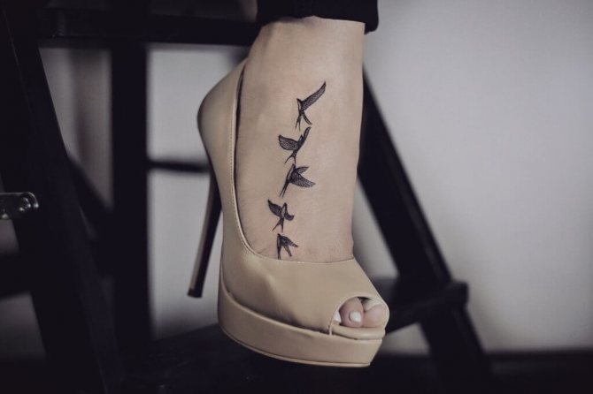 tatuaje de golondrina
