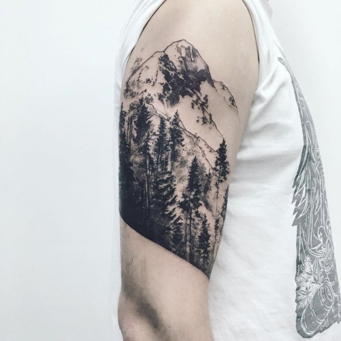 歩いて行けるタトゥーの森