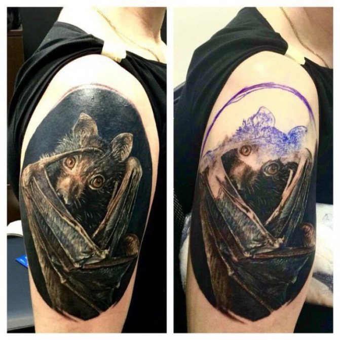 Bat tetoválás realizmus a vállon