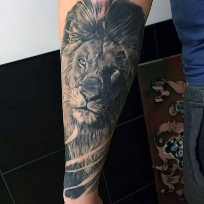 Tatouage réaliste de lion noir sur l'avant-bras