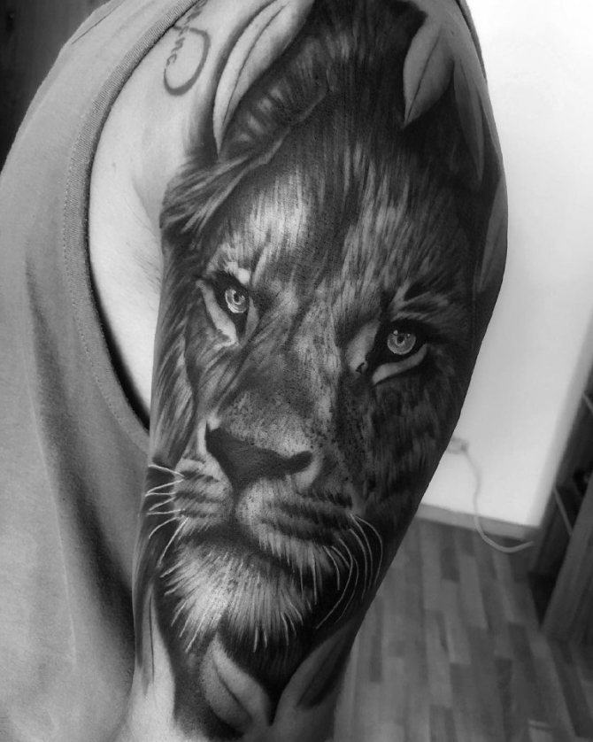 Un lion tatoué sur l'épaule