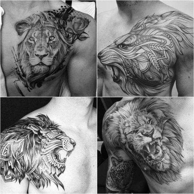 Tatuointi Leijona - Tatuointi Leo for Men - Mies Leo Tattoo