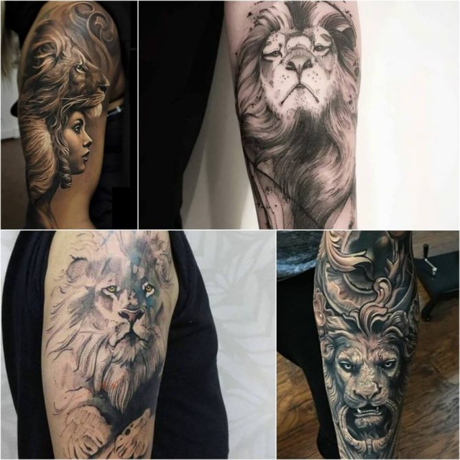 Tattoo Lion - Tattoo Leo for Male - Mandlig Leo Tattoo