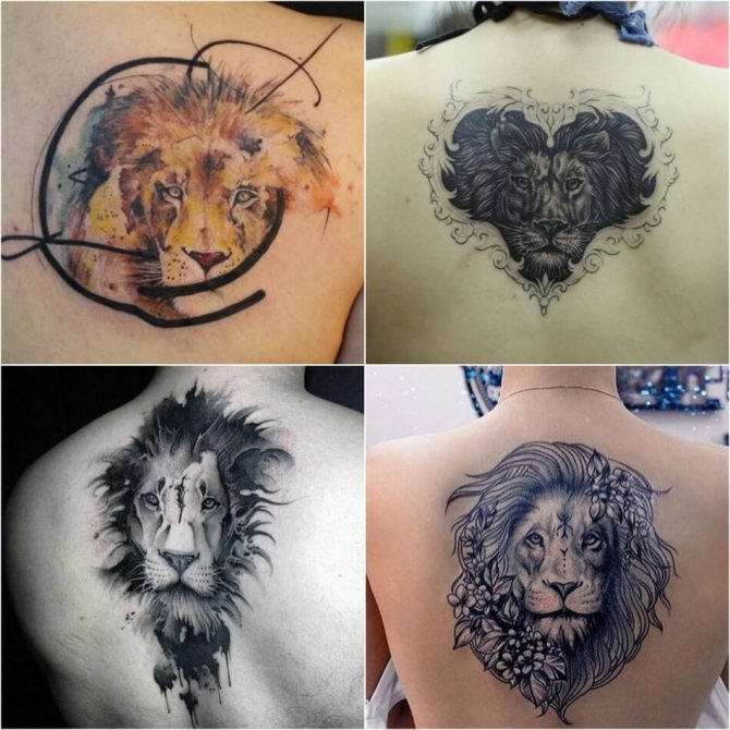 Tattoo Lion - Tattoo Lion på ryggen - Tatovering af løve på ryggen