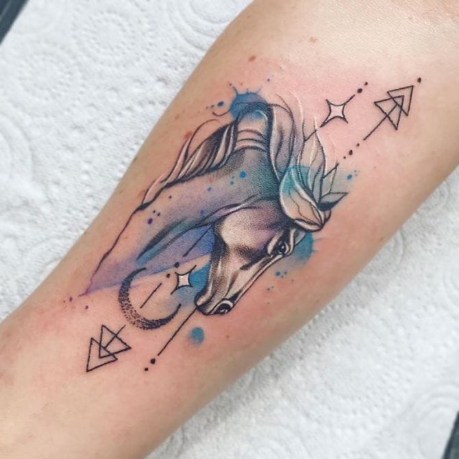 tatouage de cheval aquarelle