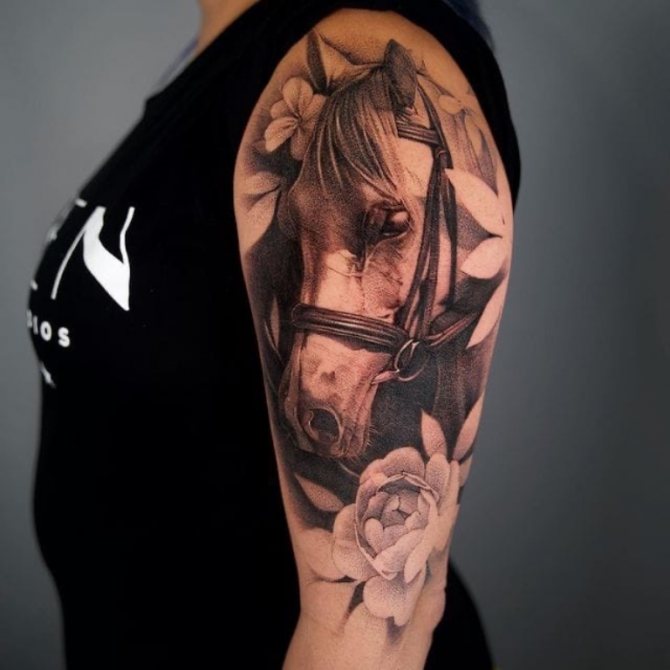 tatouage de cheval sur l'épaule
