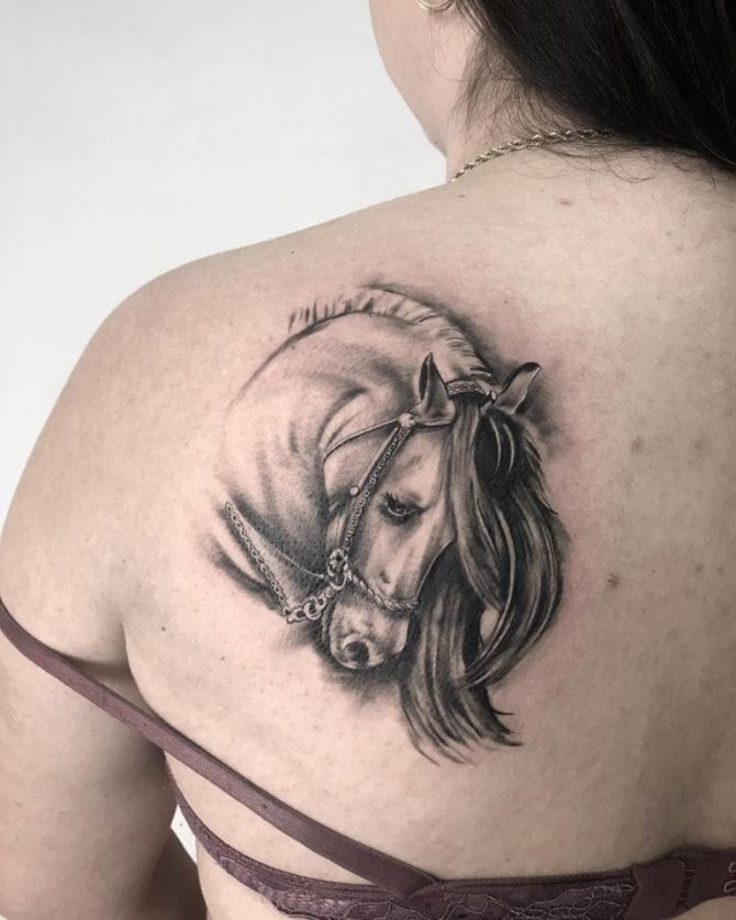 tatouage de cheval de dos