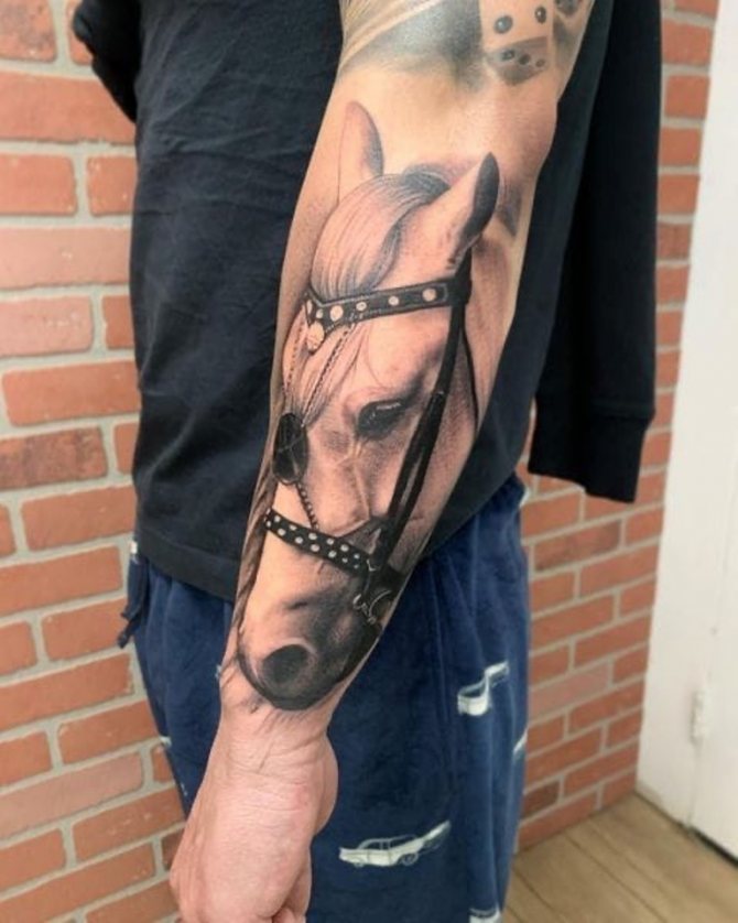 Pferde-Tattoo-Bilder