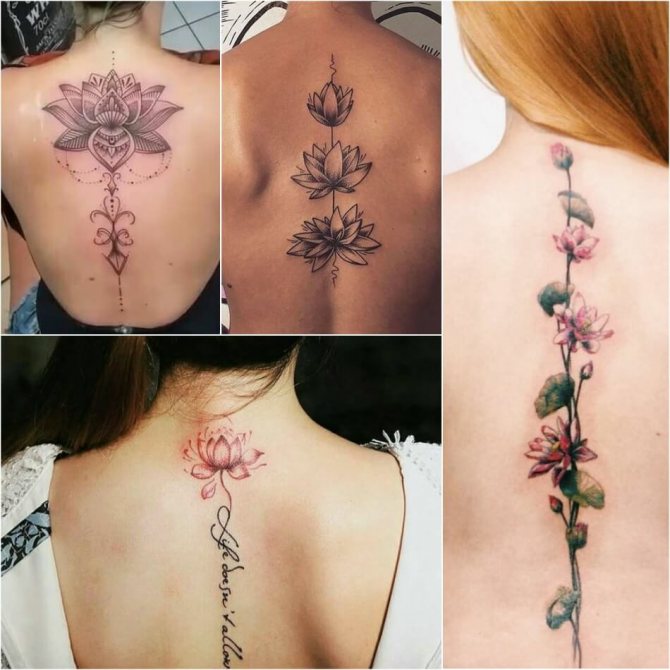 Tatouage Lotus - Moyens et Croquis - Tatouage Lotus pour Filles
