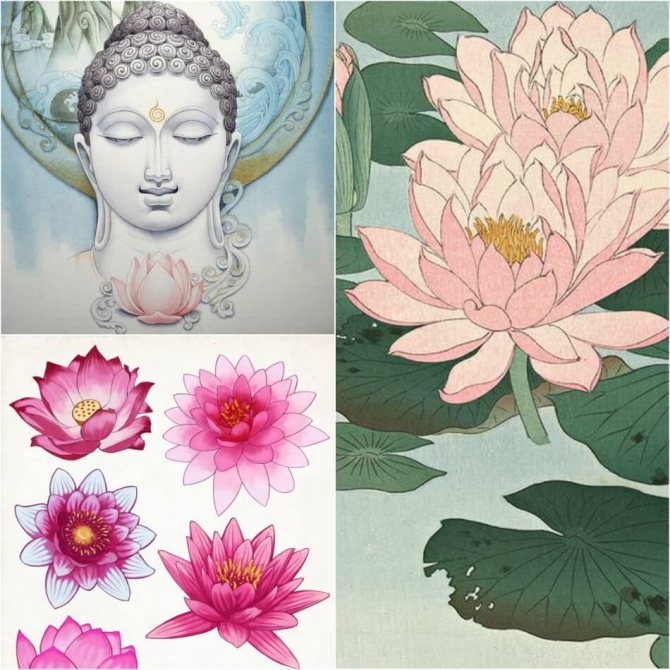 Tattoo Lotus - Signification et Croquis Tattoo Lotus - Croquis de Tatouage Lotus