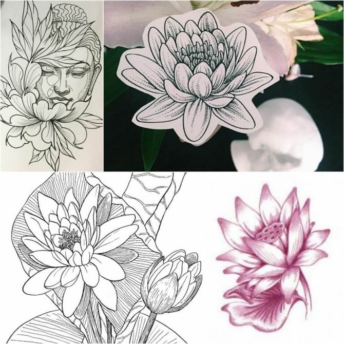 Tattoo Lotus - Moyens et Croquis Tattoo Lotus - Croquis de Tattoo Lotus