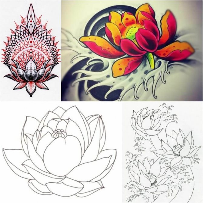 Tattoo Lotus - Moyens et Croquis Tattoo Lotus - Croquis de Tattoo Lotus