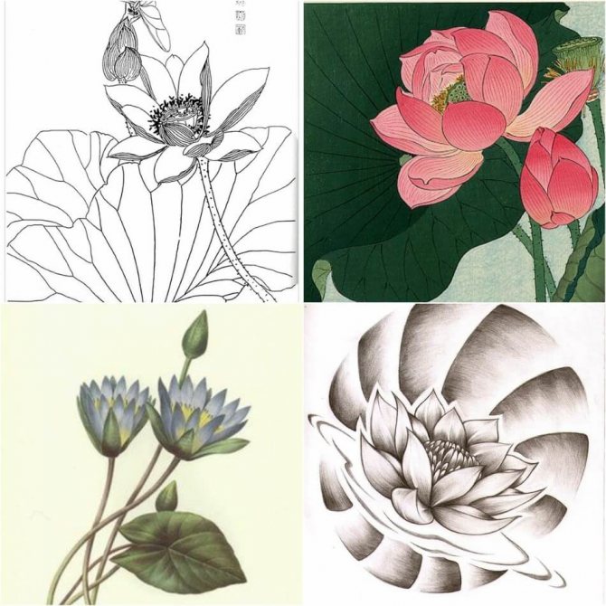 Tattoo Lotus - Moyens et Croquis Tattoo Lotus - Croquis de Tattoo Lotus