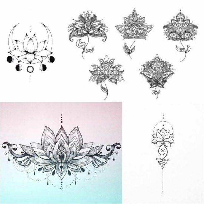 Tattoo Lotus - Moyens et Croquis Tattoo Lotus - Croquis de Tattoo Lotus
