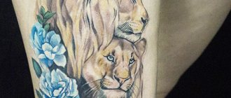 Tattoo of a lioness for girls. Meaning, pictures on the arm, leg, back, hip, shoulder, wrist, shoulder blade