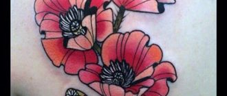 Tattoo of poppies on the shoulder blade