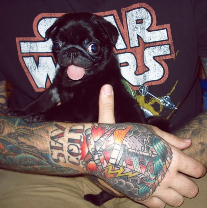 Tatouage phare et tempête