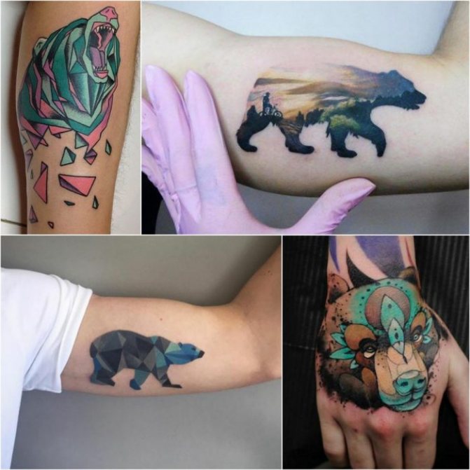 Ourson tatoué - Ourson mâle tatoué - Ourson mâle tatoué