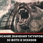 Значение на татуировката мечка