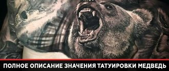 Signification du tatouage de l'ours