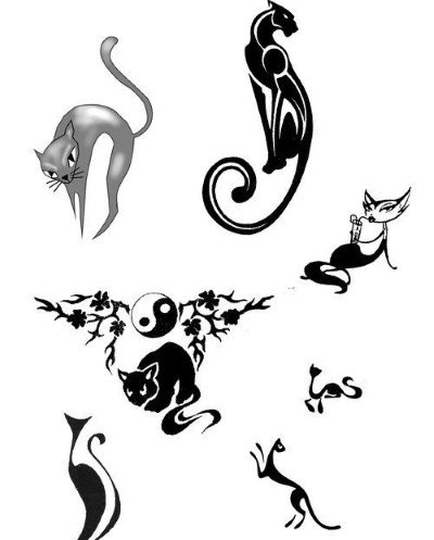 Tattoos on the collarbone for girls. Sketches, female captions, patterns, birds, flowers, stars