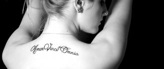 Τα τατουάζ στα λατινικά τατουάζ είναι ένα από τα πιο δημοφιλή